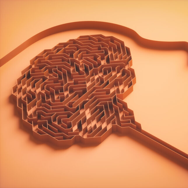 Illustration of a brain maze. -- biotech coverage from STAT